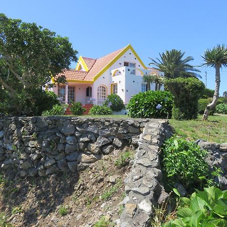 Villa Cedros Santa Cruz das Flores Bagian luar foto