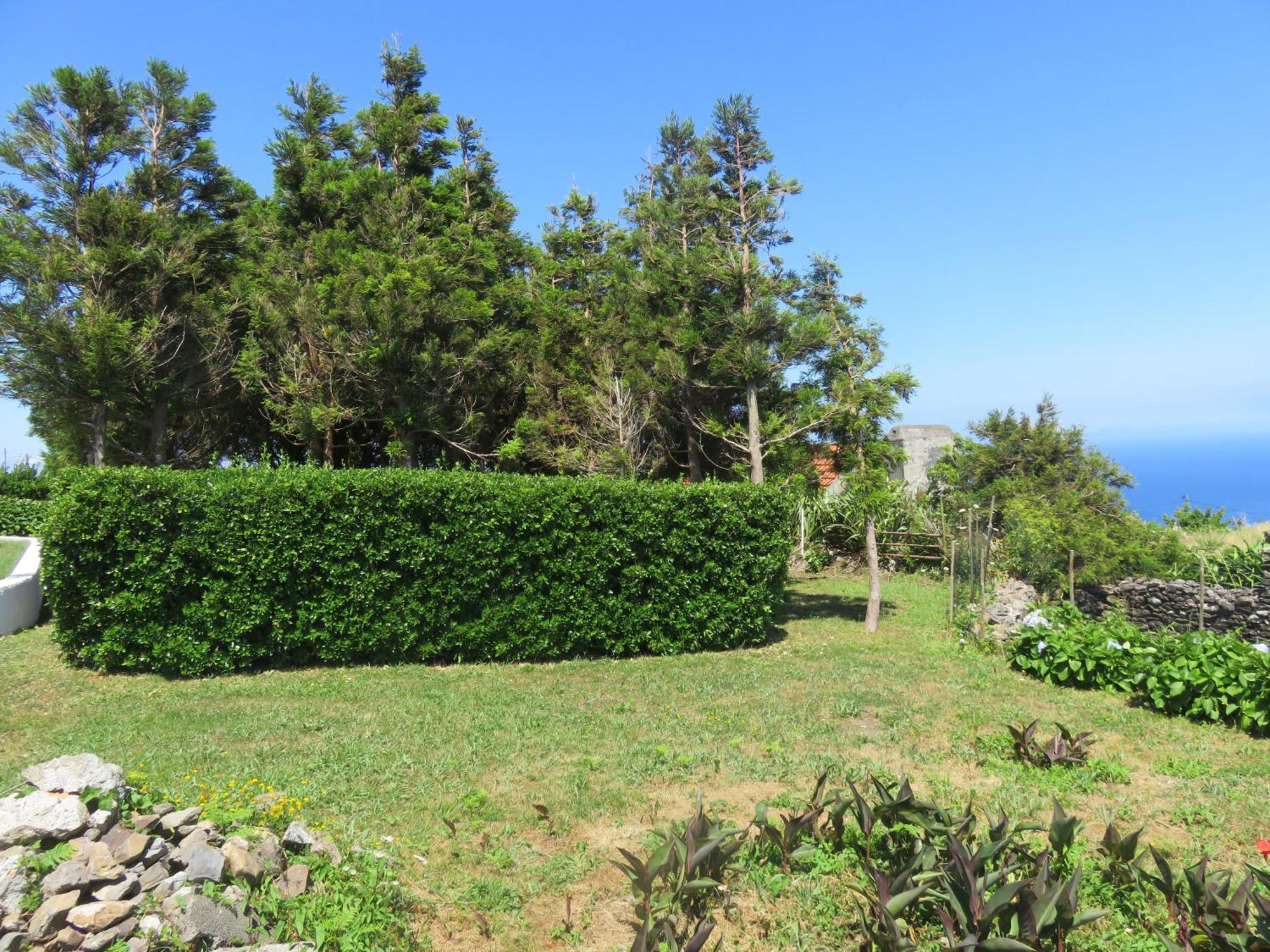 Villa Cedros Santa Cruz das Flores Bagian luar foto